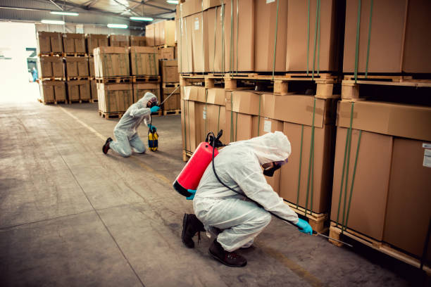 Best Local Pest Control Services  in Tillson, NY