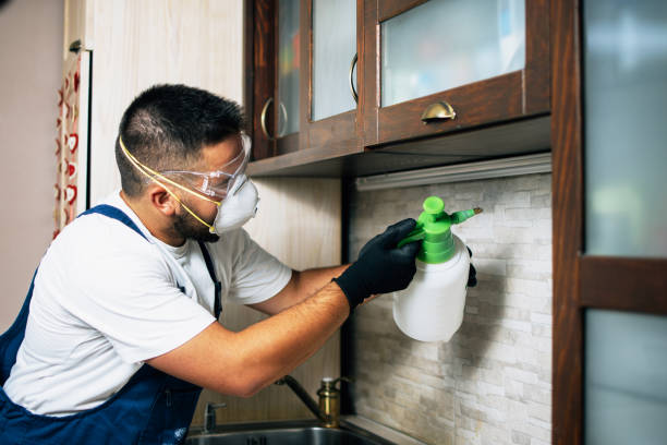 Best Best Pest Control Companies  in Tillson, NY