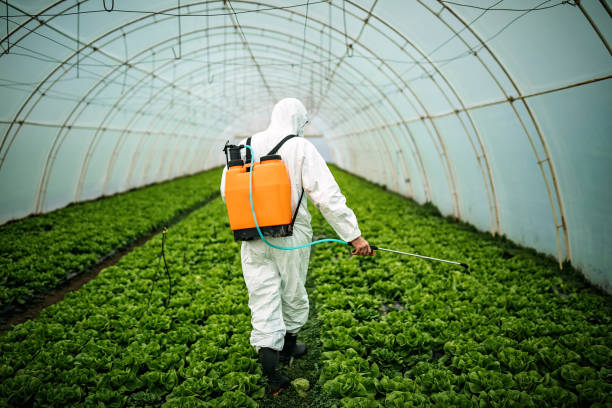 Best Local Pest Control Services  in Tillson, NY
