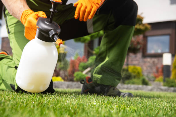Best Wasp Removal Services  in Tillson, NY