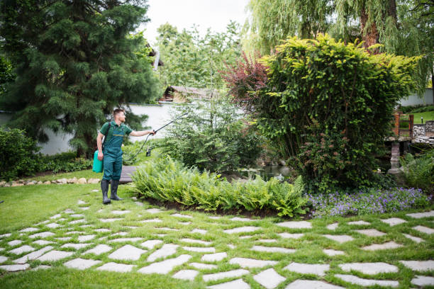 Best Ant Control Services  in Tillson, NY