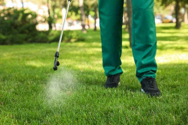Reliable Tillson, NY Pest Control Solutions