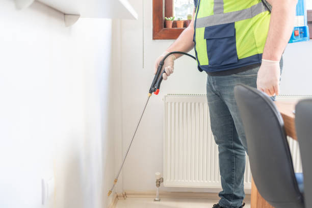 Best Termite Control Services  in Tillson, NY