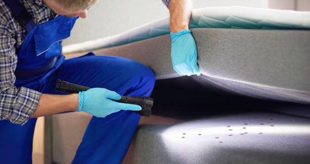 Best Residential Pest Control  in Tillson, NY