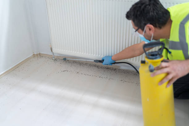 Best Emergency Pest Control  in Tillson, NY